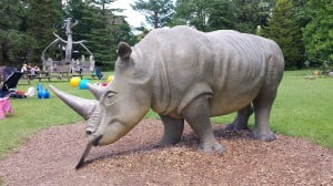 The large rhino stands proud in the play area at Anna's Welsh Zoo.