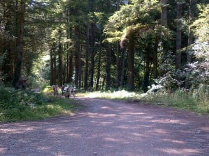 Walking in Carmarthenshire