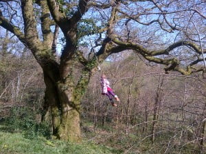 Swings in the woods