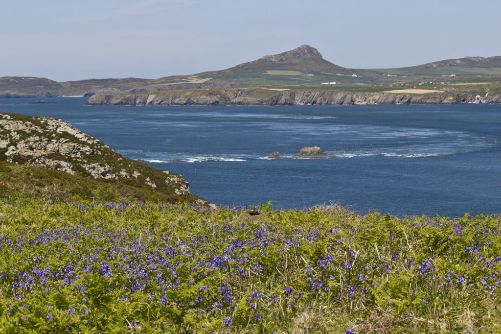 Pembs coast across Bitches from Ramsey