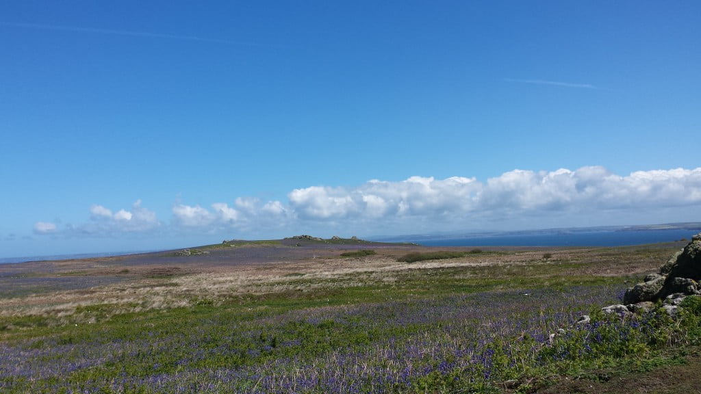 Skomer 2015