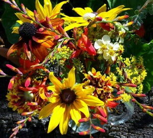 Old Oak Barn flowers