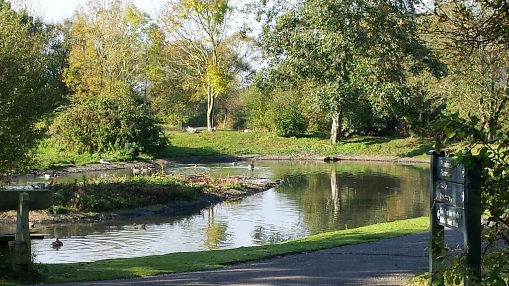 Wetland Centre scene