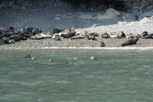 Ramsey Island