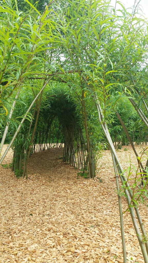 NAtional Botanic Gardens Wales