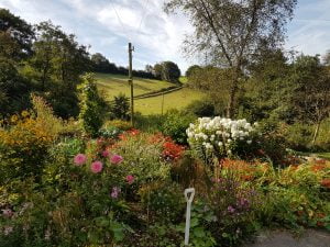 Garden Carmarthenshire