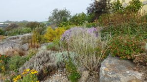 National Botanic Gardens Wales