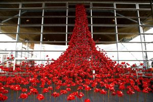 Cardiff Poppies