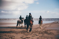 Wales Escapes - ride a horse on the beach