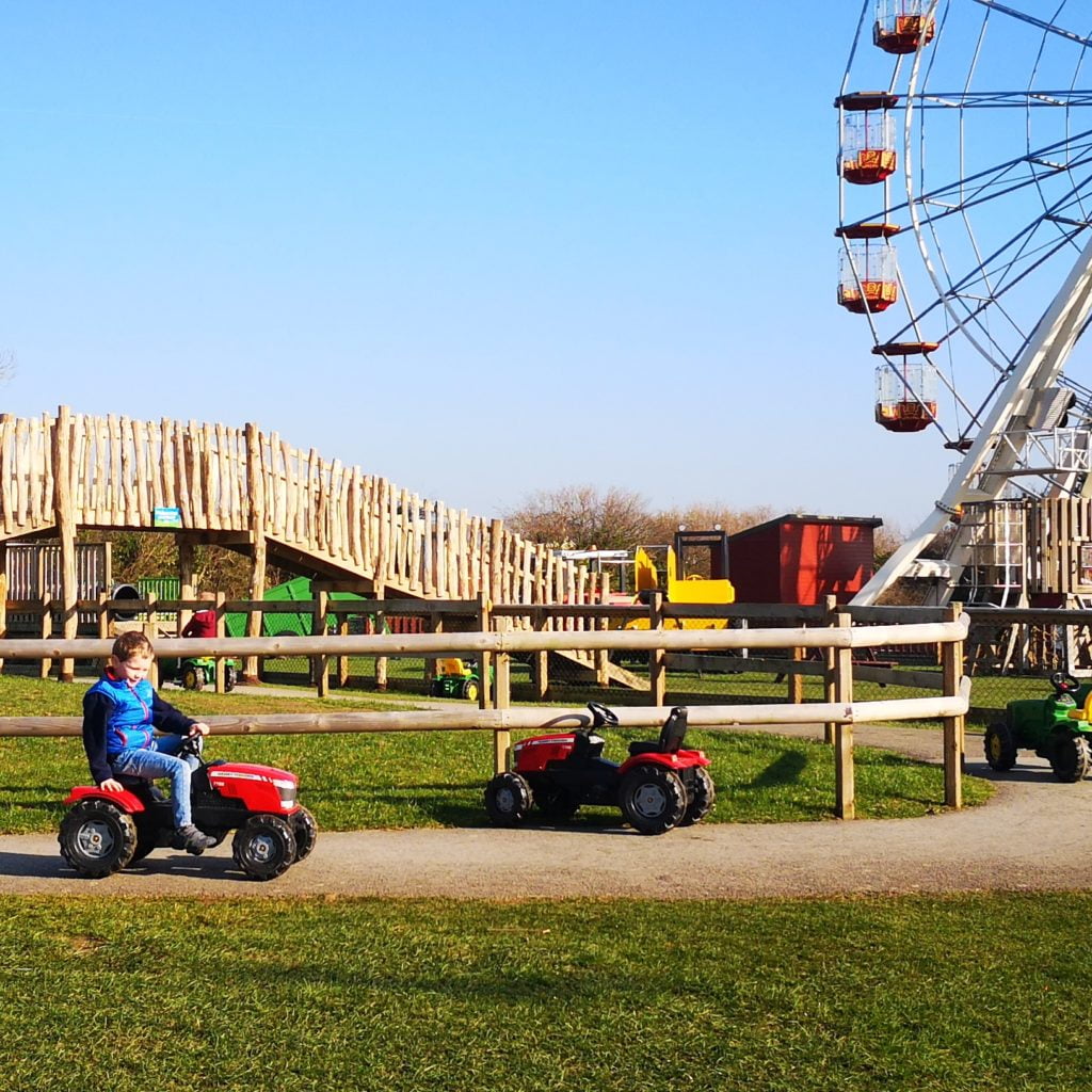 Folly Farm 2019