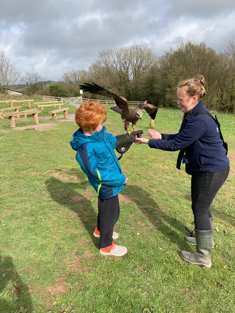 Visit the Bird of Prey Centre at the gardens of Wales